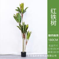 XU0612921